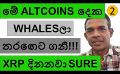             Video: WHALES STARTED BUYING THESE TWO ALTCOINS!!! | 
