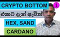             Video: CRYPTO HAS ALREADY REACHED A BOTTOM??? | HEX, CARDANO AND SAND
      