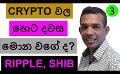             Video: WHAT WILL BE THE FUTURE OF CRYPTO??? | RIPPLE AND SHIB
      