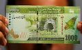             Sri Lanka Rupee appreciates further against USD
      