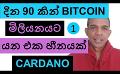             Video: BITCOIN'S $1 MILLION IN 90 DAYS IS A MARKETING PLOY!!! | CARDANO
      