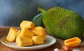             Government to get Sri Lankans to eat more jackfruit
      