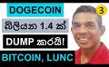             Video: DOGECOIN, 1.4 BILLION DUMPED BY WHALES!!! | BITCOIN AND LUNC
      