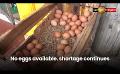             Video: No eggs available. Shortage continues. Indian eggs making their way to the retail market
      