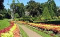            Sri Lanka increases Entrance fee for Botanical gardens
      