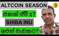             Video: WHEN IS THE NEXT ALTCOIN SEASON? | SHIBA INU'S NEWEST PROJECT!!!
      