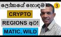             Video: THE EIGHT BEST CRYPTO REGIONS IN THE WORLD!!! | MATIC AND WILDER WORLD
      