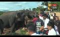             Video: පින්නවල අලි ඇතුන්ට අපූරු දන්සලක්....  | Pinnawala Elephant Orphanage Sri Lanka | Poson 2023
      