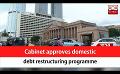             Video: Cabinet approves domestic debt restructuring programme (English)
      