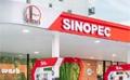             Sinopec begins operations in Sri Lanka s retail fuel market today
      