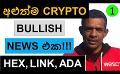             Video: THE NEWEST BULLISH NEWS ON CRYPTO!!! | HEX, LINK AND ADA
      