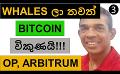             Video: WHALES KEEP  SELLING BITCOIN? | OPTIMISM AND ARBITRUM
      