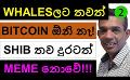             Video: WHALES DON'T NEED BITCOIN ANY MORE? | SHIB DROPS IT'S MEME STATUS!!!
      