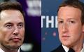             Italy could host Musk v Zuckerberg cage fight
      