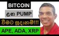             Video: A MASSIVE BITCOIN PUMP IS COMING UP!!! | APE, ADA AND XRP
      