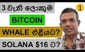             Video: THIRD LARGEST BITCOIN WHALE REVEALED!!! | SOLANA TO GO DOWN TO $16?
      