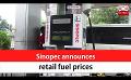       Video: Sinopec announces retail <em><strong>fuel</strong></em> prices (English)
  