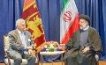             Iran sees potential to increase economic cooperation with Sri Lanka
      