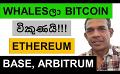             Video: WHALES STARTED SELLING BITCOIN!!! | ETHEREUM, BASE AND ARBITRUM
      