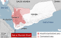             UK-owned ship damaged in Houthi missile attack off Yemen, US says
      
