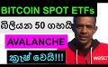             Video: BITCOIN SPOT ETFs ARE ABOUT TO EXPLODE!!! | AVALANCHE CRASHED DOWN!!!
      
