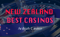             Ardijah Casino’s Ultimate Guide: Most Popular Payment Methods in Best Deposit Casinos in New Zea...
      