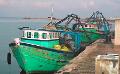             Another 21 Indian fishermen arrested in Sri Lanka
      