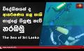             Video: විදේශිකයන් ආකර්ෂණය කළ හැකි ගාල්ලේ ගිලුණු නැව් නරඹමු - The Sea of Sri Lanka | Episode 08
      