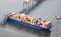             Ship which crashed into US bridge was heading to Sri Lanka with dangerous cargo
      