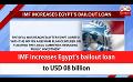             Video: IMF increases Egypt’s bailout loan to USD 08 billion (English)
      