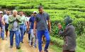             President Embarks on Observation Tour to Revitalize Tourism Industry in Scenic Nuwara Eliya
      